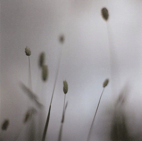 Cover of Float by Peter Broderick