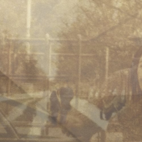 Cover of Folding In On Itself by Ezekiel Honig