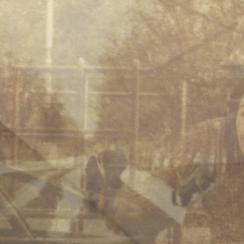 Cover of Folding In On Itself by Ezekiel Honig