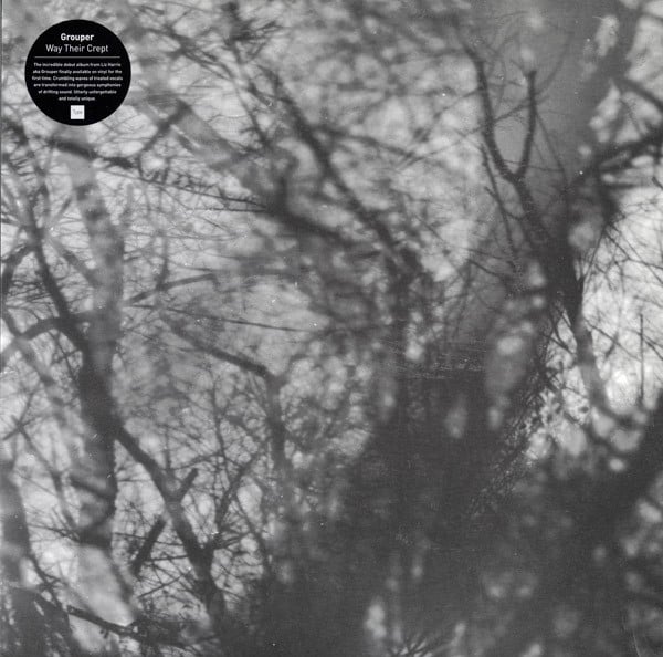 Cover of Way Their Crept by Grouper