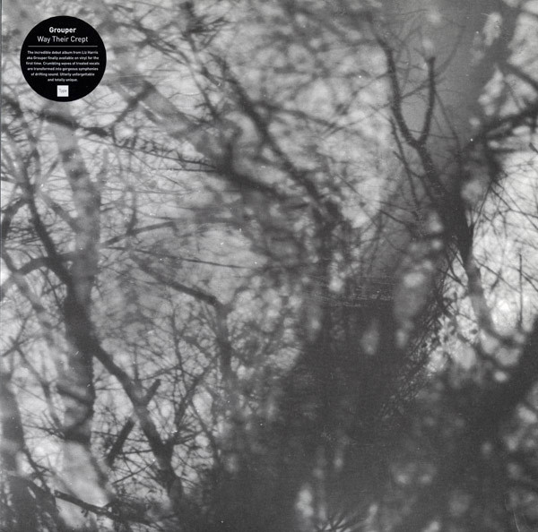 Cover of Way Their Crept by Grouper