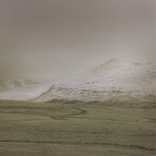 Cover of Wolf Notes by *AR