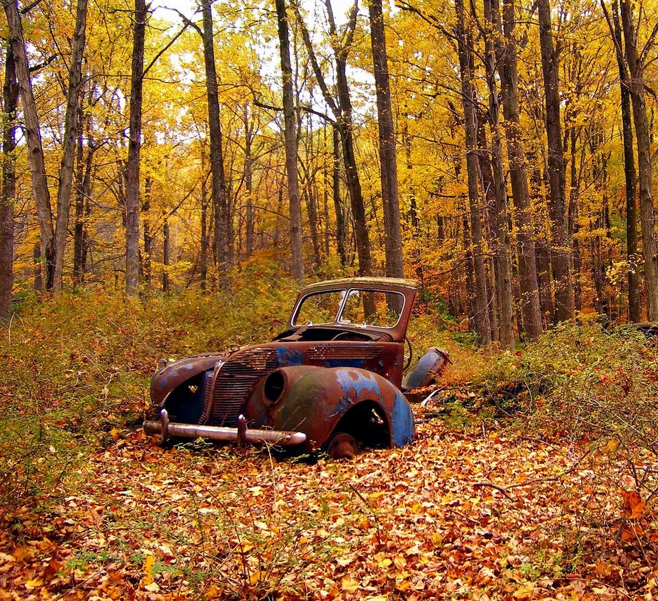 Wabi-sabi – the appreciation of beauty in broken, rusted things Image by Nicholas_T