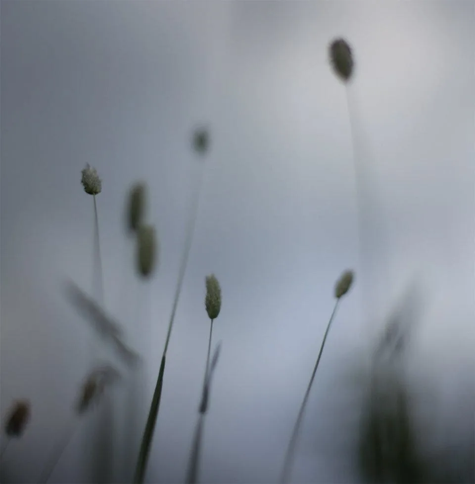 The cover for Peter Broderick’s “Float” on Type Records